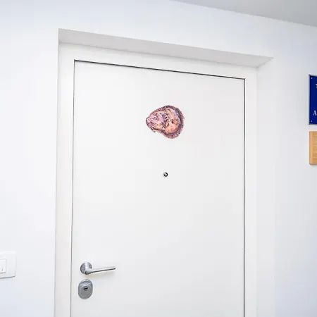 Apartman Ostrea Dubrovnik